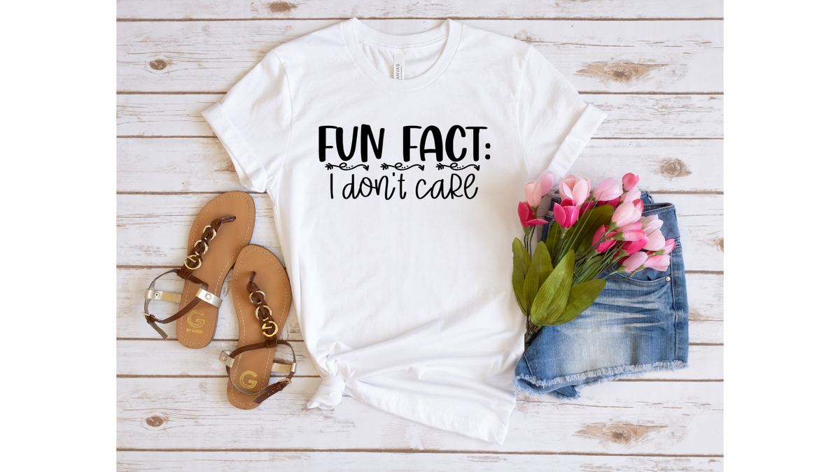 Fun Fact I Don t Care White Bella Canvas T Shirt Taylor s