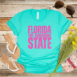 Florida The Sunshine State, Womens T-Shirt, Vacation Shirt, Summer Apparel, Trendy Gift, Casual Wear