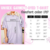 Halloween Spooky Book Nook, Comfort Colors Halloween Tee, Book Lovers Halloween T-shirt, Halloween t-shirt